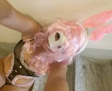 Coniglietta in cerca di una vera Carota